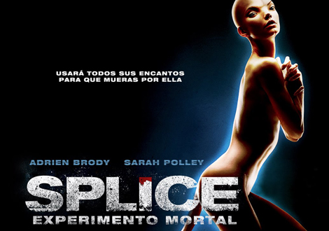 Splice: Experimento mortal